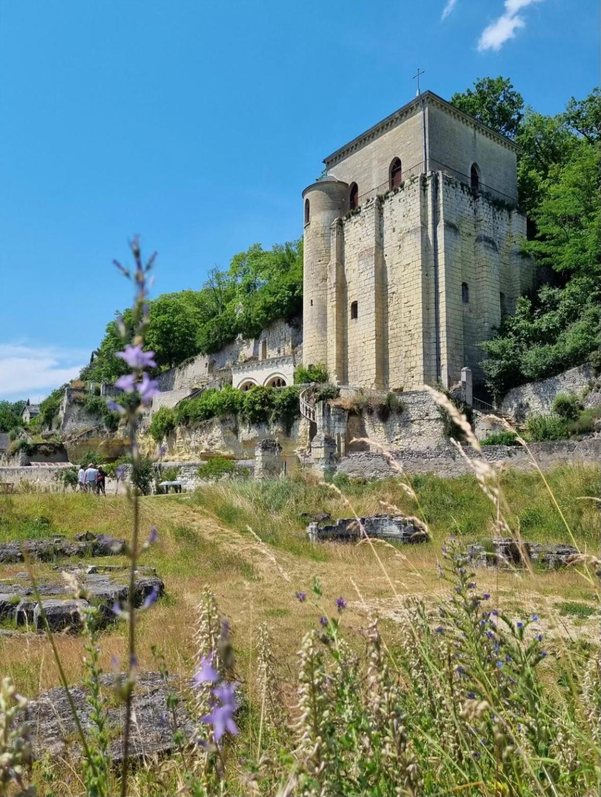 Appartamento Le Cosy Charmeur Climatise Avec Patio Tours Esterno foto
